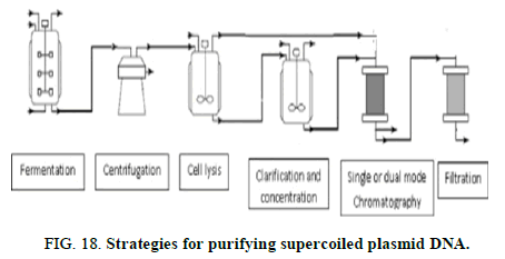 Chemical-Pharmaceutical-purifying