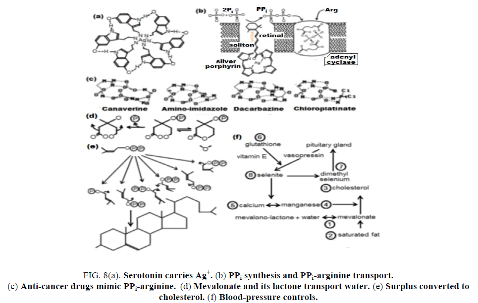 research-reviews-electrochemistry-Anti-cancer-drugs-mimic